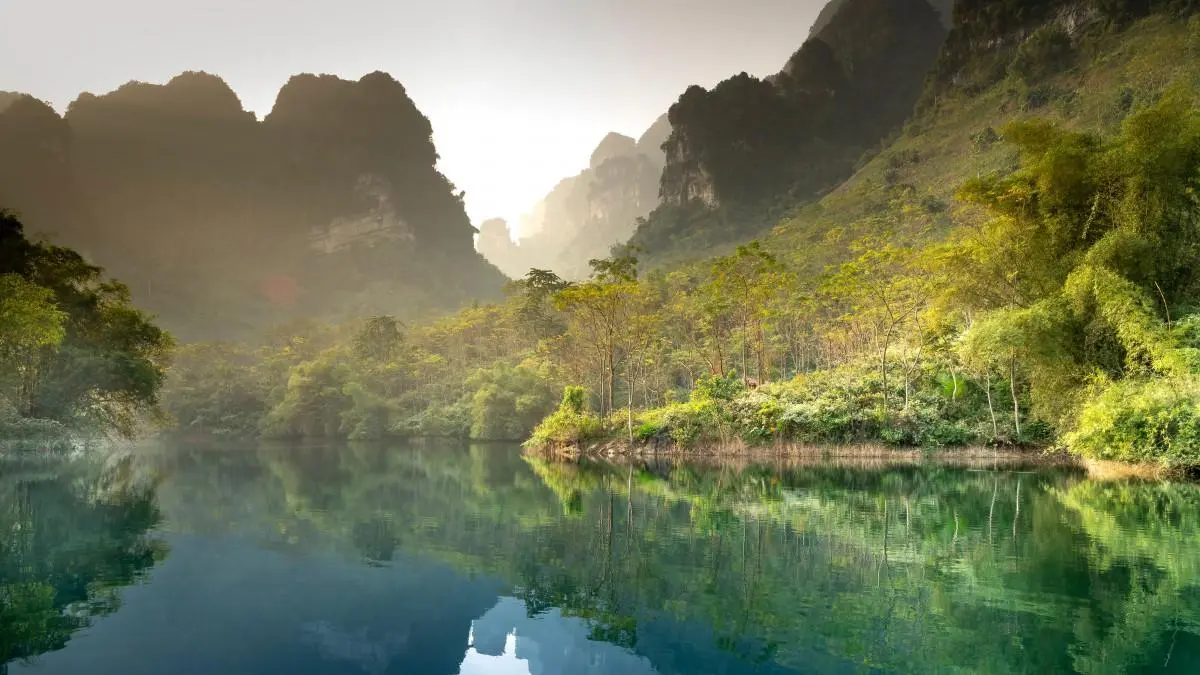 环保网络化独特
